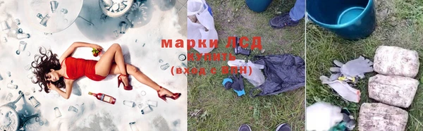 кокс Белокуриха